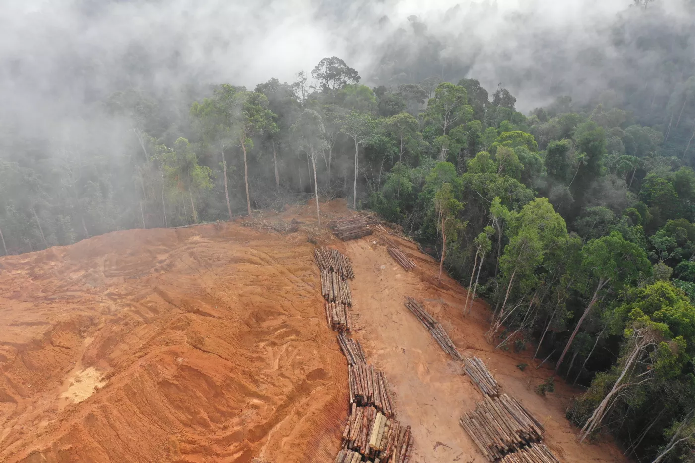 Aerial drone view of deforestation environmental problem.