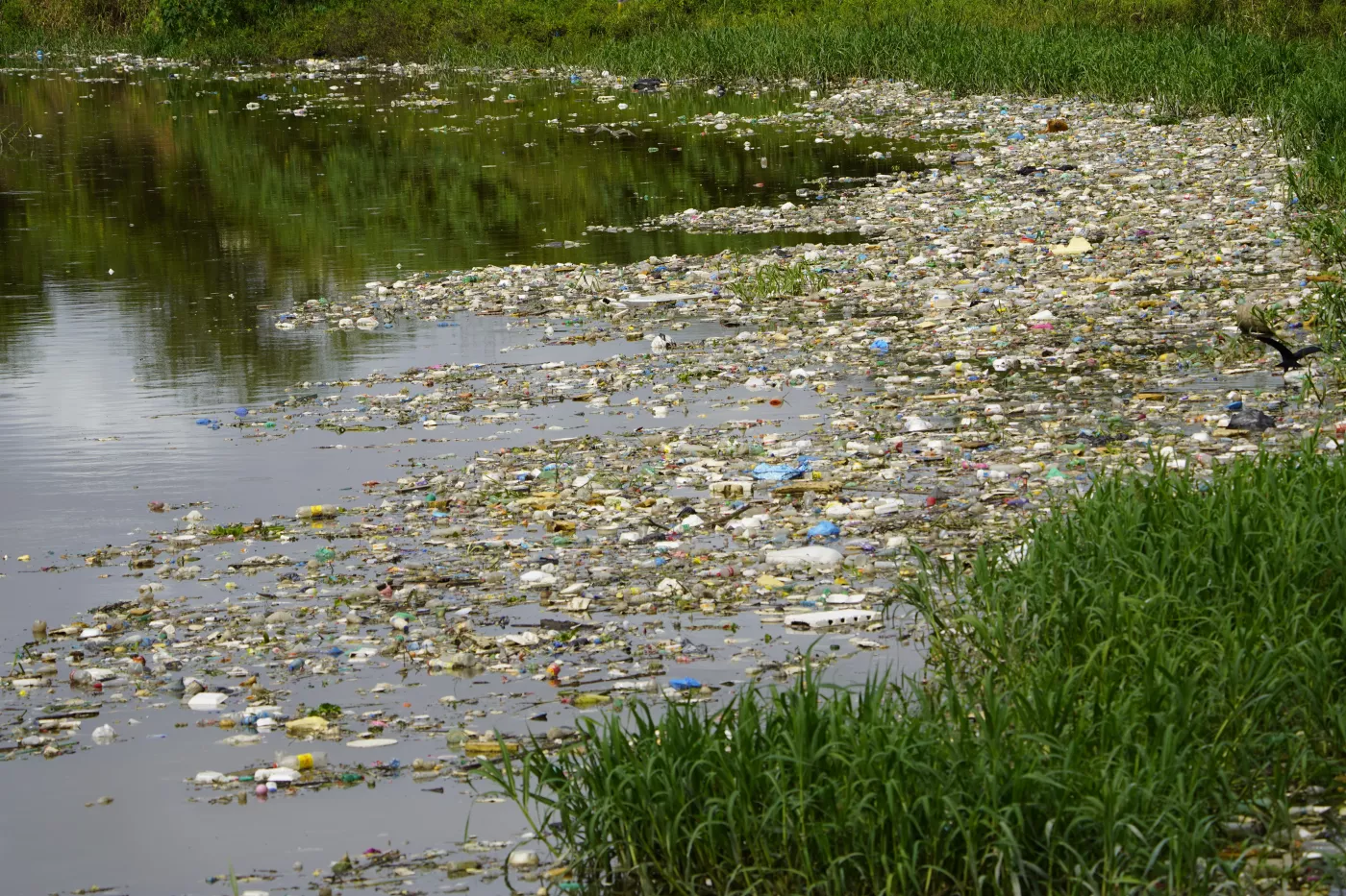 Water pollution in the Creek Educandos, Manaus - Amazon, Brazil