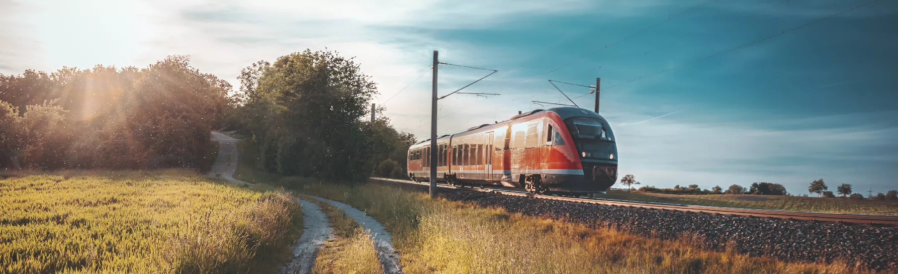 train